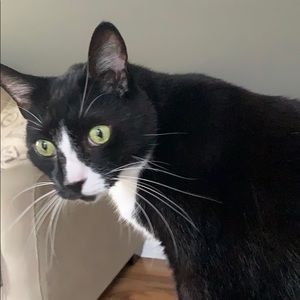 Meet your Posher, Janice